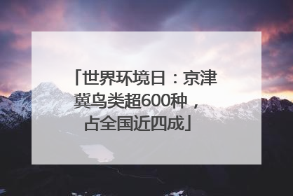 世界环境日：京津冀鸟类超600种，占全国近四成