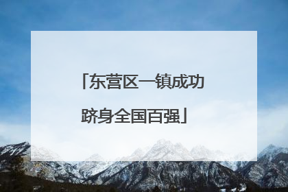 东营区一镇成功跻身全国百强