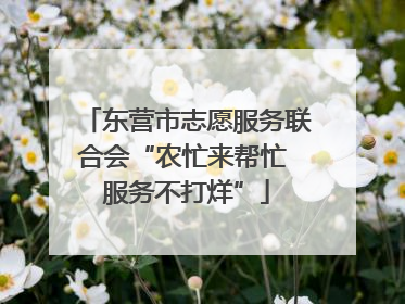 东营市志愿服务联合会“农忙来帮忙 服务不打烊”