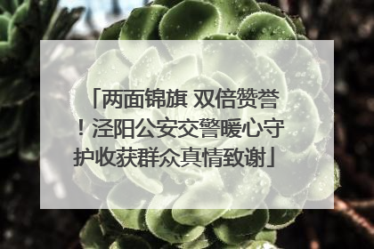 两面锦旗 双倍赞誉！泾阳公安交警暖心守护收获群众真情致谢