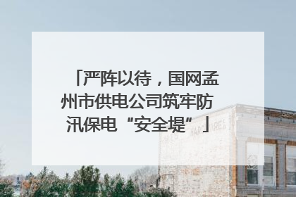 严阵以待，国网孟州市供电公司筑牢防汛保电“安全堤”