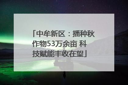 中牟新区：播种秋作物53万余亩 科技赋能丰收在望
