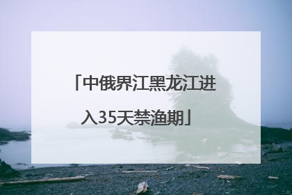 中俄界江黑龙江进入35天禁渔期