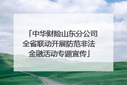 中华财险山东分公司全省联动开展防范非法金融活动专题宣传