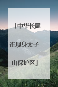 中华长尾雀现身太子山保护区