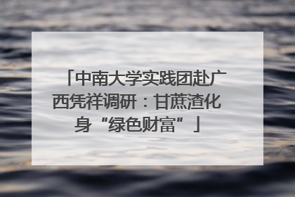 中南大学实践团赴广西凭祥调研：甘蔗渣化身“绿色财富”