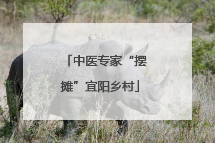 中医专家“摆摊”宜阳乡村