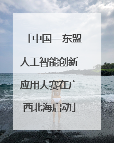 中国—东盟人工智能创新应用大赛在广西北海启动