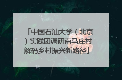 中国石油大学（北京）实践团调研南马庄村解码乡村振兴新路径