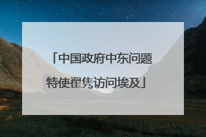 中国政府中东问题特使翟隽访问埃及