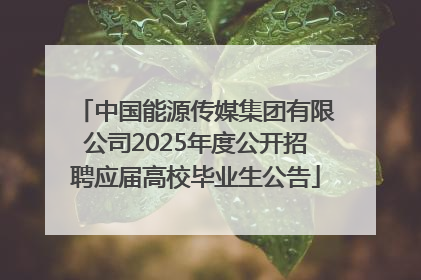 中国能源传媒集团有限公司2025年度公开招聘应届高校毕业生公告