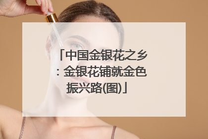 中国金银花之乡：金银花铺就金色振兴路(图)
