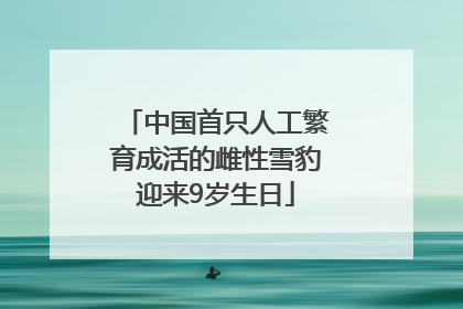中国首只人工繁育成活的雌性雪豹迎来9岁生日