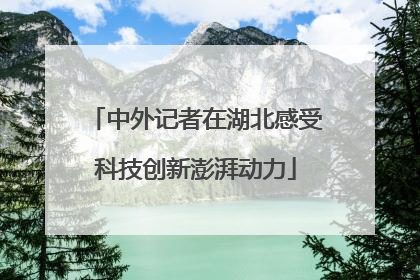 中外记者在湖北感受科技创新澎湃动力