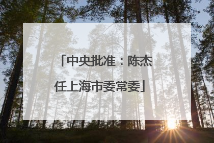 中央批准：陈杰任上海市委常委