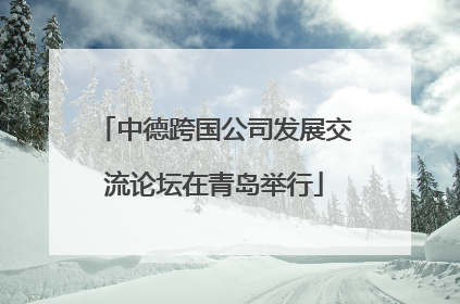 中德跨国公司发展交流论坛在青岛举行
