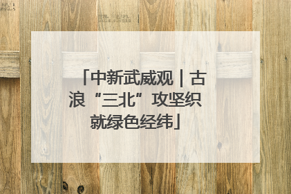 中新武威观｜古浪“三北”攻坚织就绿色经纬