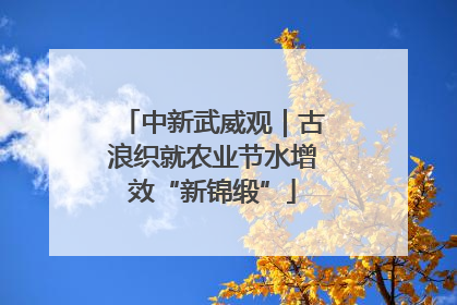 中新武威观｜古浪织就农业节水增效“新锦缎”