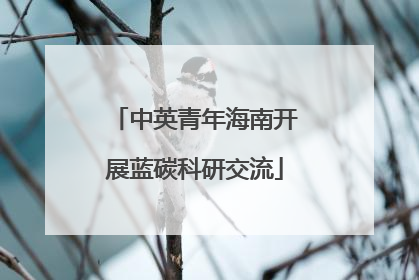 中英青年海南开展蓝碳科研交流