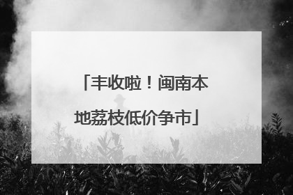 丰收啦！闽南本地荔枝低价争市