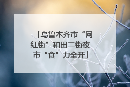 乌鲁木齐市“网红街”和田二街夜市“食”力全开