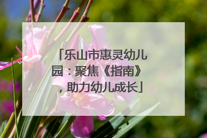 乐山市惠灵幼儿园：聚焦《指南》，助力幼儿成长