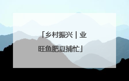 乡村振兴｜业旺鱼肥夏捕忙