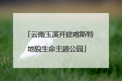云南玉溪开建喀斯特地貌生命主题公园