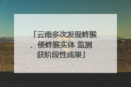 云南多次发现蜂猴、倭蜂猴实体 监测获阶段性成果