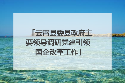 云霄县委县政府主要领导调研党建引领国企改革工作