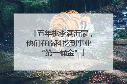 五年桃李满沂蒙，他们在临科挖到事业“第一桶金”