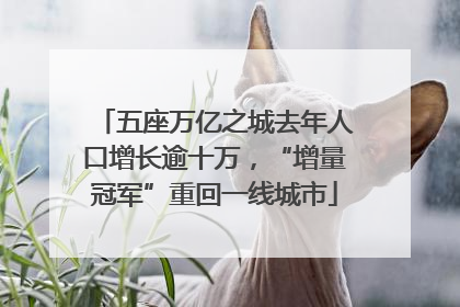 五座万亿之城去年人口增长逾十万，“增量冠军”重回一线城市
