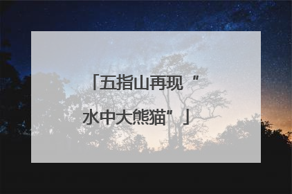 五指山再现“水中大熊猫”
