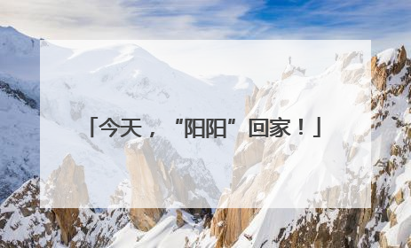 今天，“阳阳”回家！