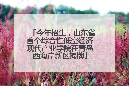 今年招生，山东省首个综合性低空经济现代产业学院在青岛西海岸新区揭牌