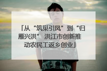 从“筑巢引凤”到“归雁兴洪” 洪江市创新推动农民工返乡创业