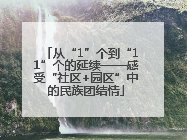 从“1”个到“11”个的延续——感受“社区+园区”中的民族团结情