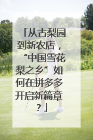 从古梨园到新农店，“中国雪花梨之乡”如何在拼多多开启新篇章？