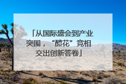 从国际盛会到产业突围，“醴花”竞相交出创新答卷
