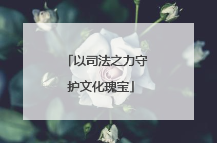 以司法之力守护文化瑰宝