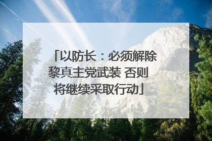 以防长：必须解除黎真主党武装 否则将继续采取行动