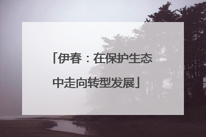 伊春：在保护生态中走向转型发展