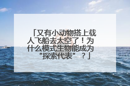 又有小动物搭上载人飞船去太空了！为什么模式生物能成为“探索代表”？