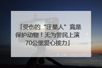 受伤的“汪星人”竟是保护动物！无为警民上演70公里爱心接力