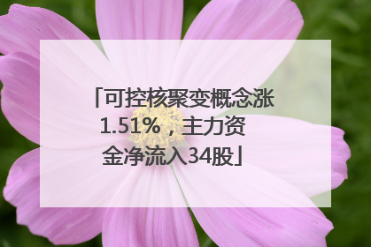 可控核聚变概念涨1.51%，主力资金净流入34股