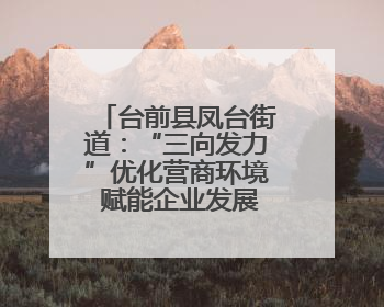台前县凤台街道：“三向发力”优化营商环境 赋能企业发展新活力