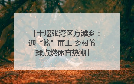 十堰张湾区方滩乡：迎“篮”而上 乡村篮球点燃体育热潮