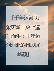 千年运河 万象更新｜应“运”而生：千年运河河北沧州段展新颜