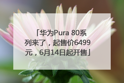 华为Pura 80系列来了，起售价6499元，6月14日起开售