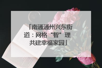 南通通州兴东街道：网格“智”理 共建幸福家园